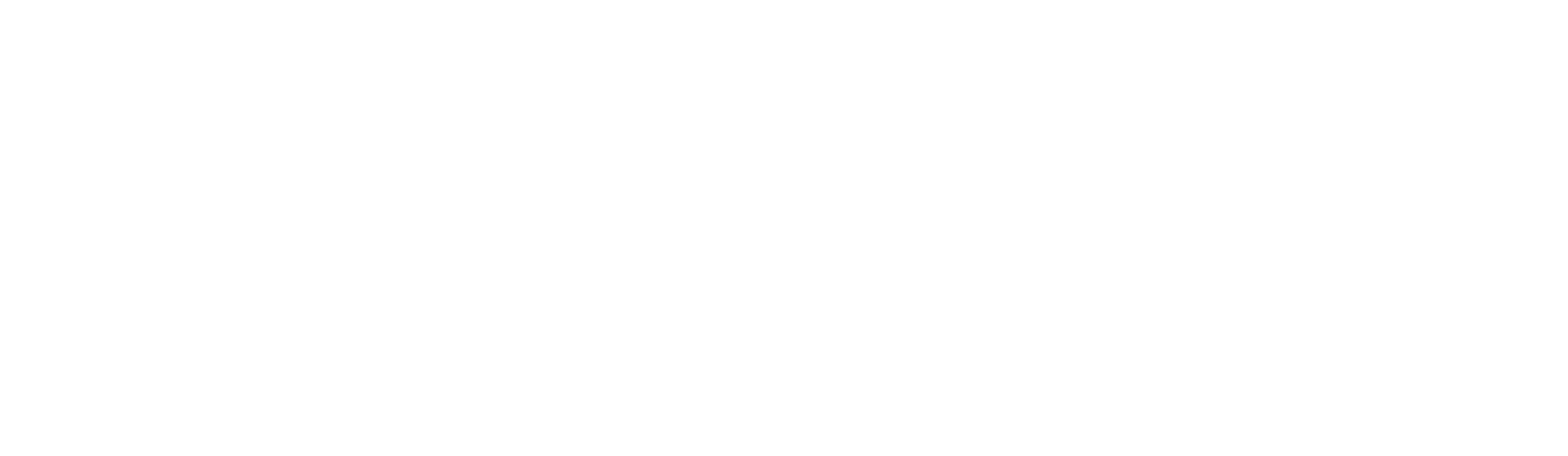 ProAmpac logo white
